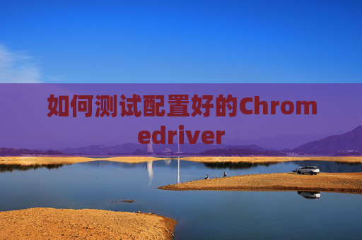 如何测试配置好的Chromedriver
